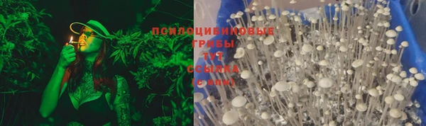 дмт Бугульма
