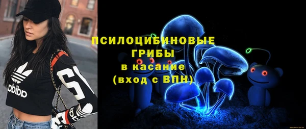 дмт Бугульма