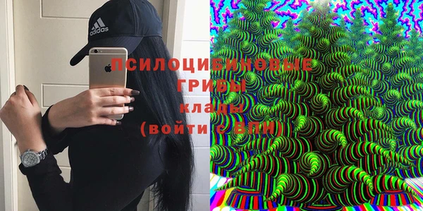 дмт Бугульма