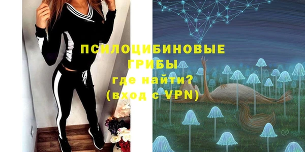 дмт Бугульма