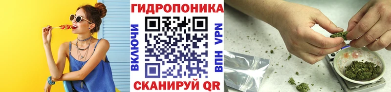 сколько стоит Вытегра Конопля THC 21%